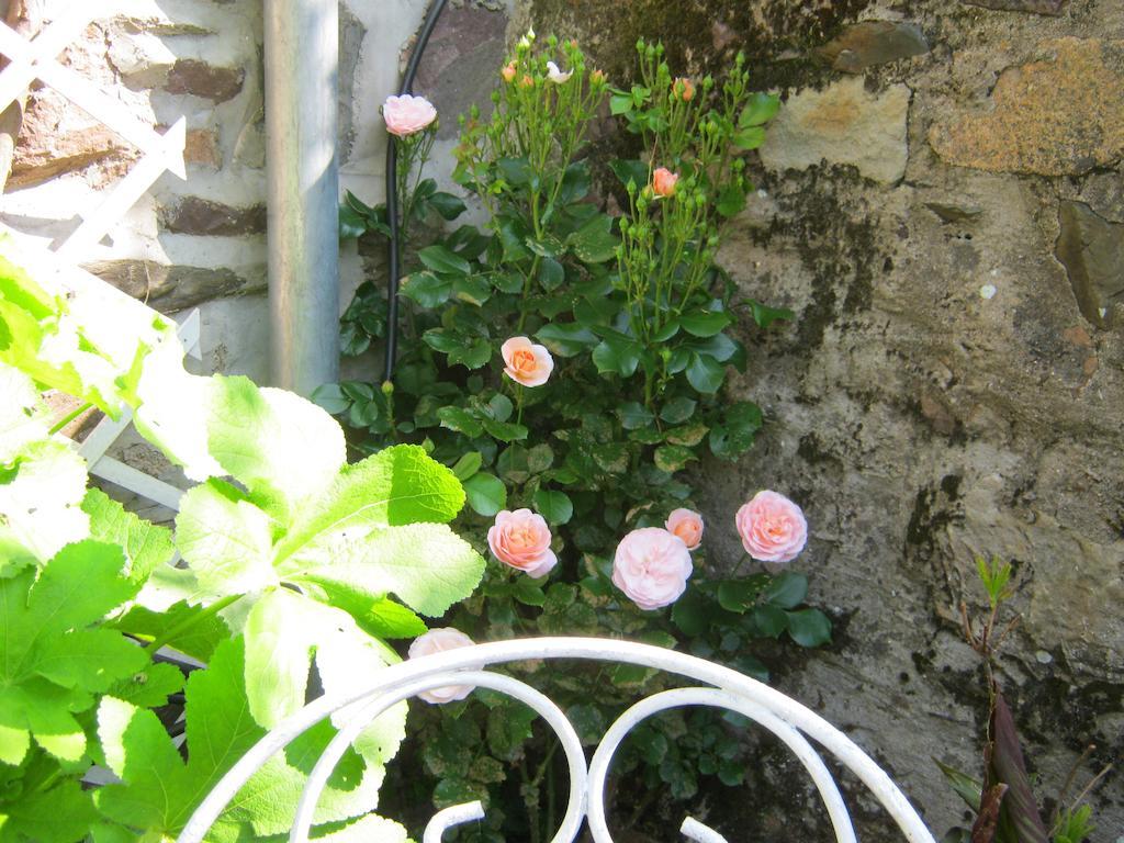 Chambres Hotes Saint Yves Pontrieux Exterior foto